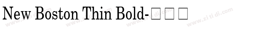 New Boston Thin Bold字体转换